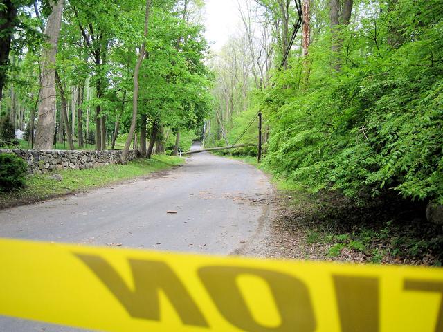 Storm Damage, Middle Patent Road - May 2007